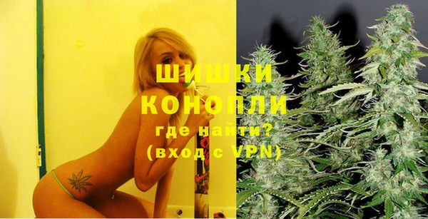 эйфоретик Бородино