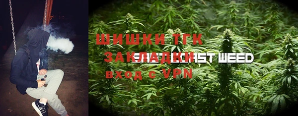 молекула духа Верея