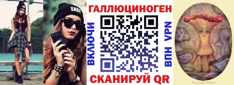 kraken зеркало Махачкала Галлюциногенные грибы Cubensis